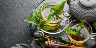 Thé vert à la menthe bio vs infusion de menthe ZenThé — comparaison bienfaits caféine antioxydants certifiés AB