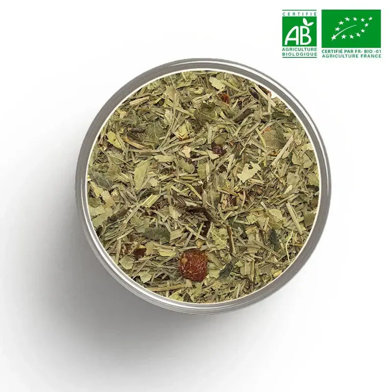 Thé bio en vrac certifié AB ZenThé — feuilles entières infusion