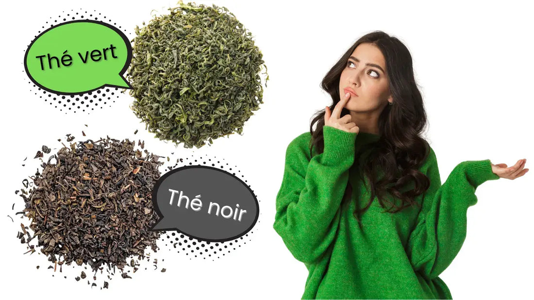 Thé vert bio vs thé noir bio ZenThé — comparaison bienfaits, antioxydants, caféine, préparation certifiés AB