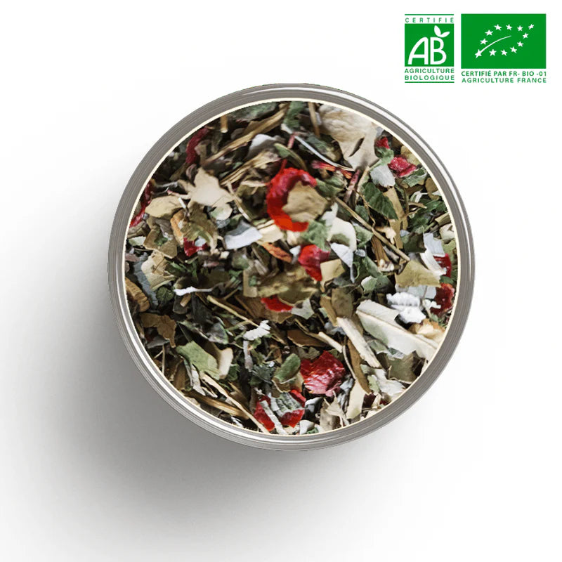 Tasse de tisane amincissante bio - formule complète drainage et métabolisme