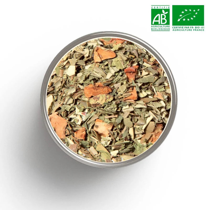 Infusion Dodo bio glacée avec citron et verveine fraîche - rituel soir estival
