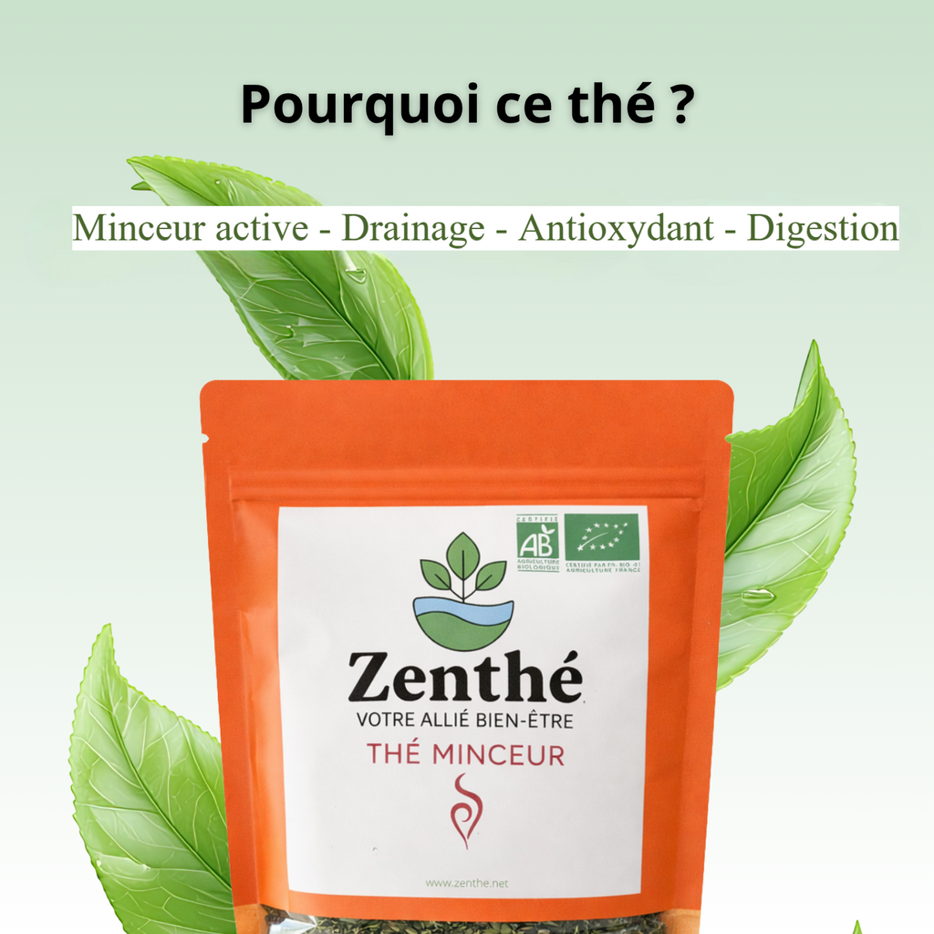 Ingrédients tisane Ma Minceur bio - maté, hibiscus, menthe nanah et myrtille