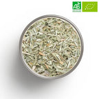Tasse d'Olivencia bio - infusion dorée verdâtre oleuropéine cardiovasculaire immunité