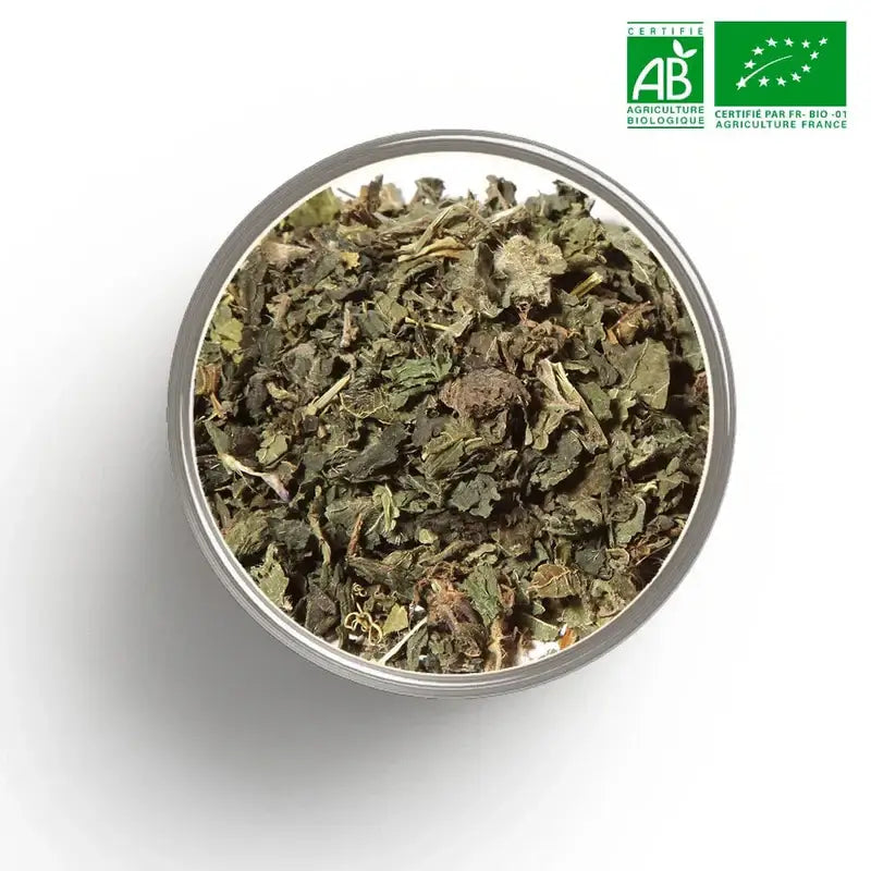 Tasse Orthy bio vert-kaki + citron - reminéralisation fer calcium silice os articulations