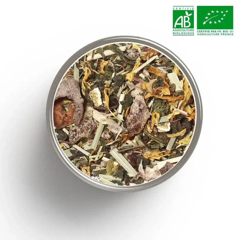 Pulpur la Délicieuse version cacao latte végétal matin - énergie douce concentration bio