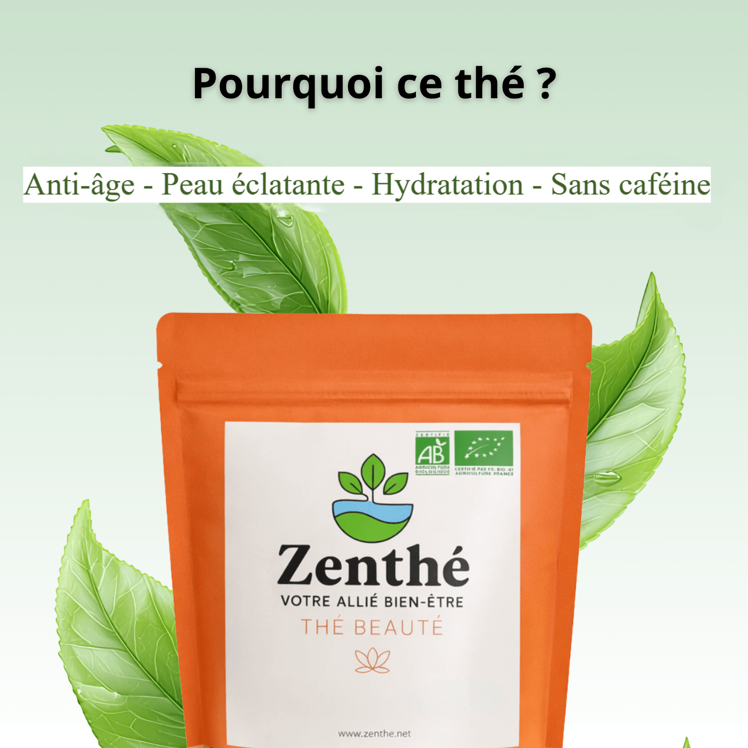 Rooibos Brillance Peau glacé fruits rouges framboises - soin beauté estival antioxydant bio