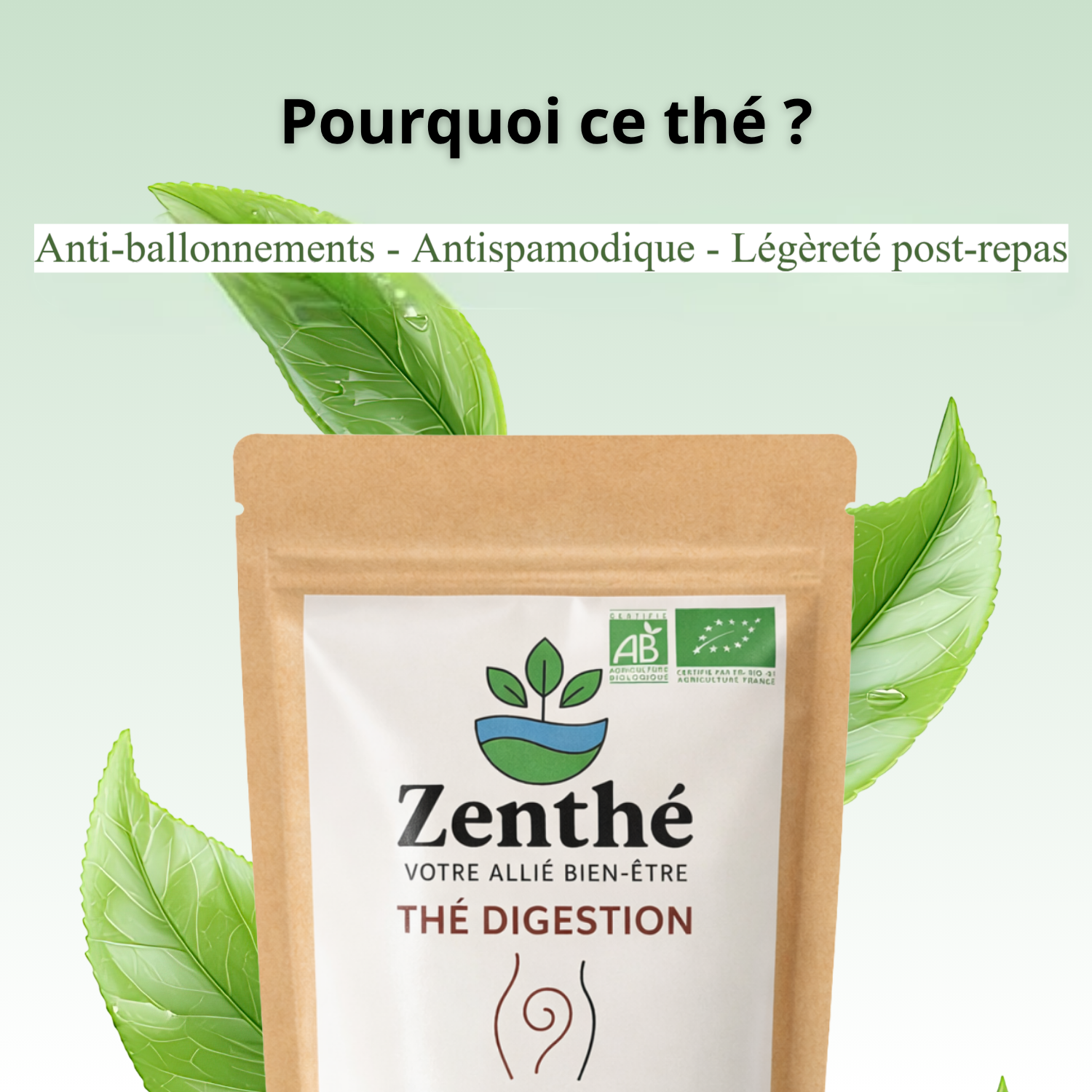 Tisane Ma Digestion bio en infusette pratique au bureau après le repas - ZenThé