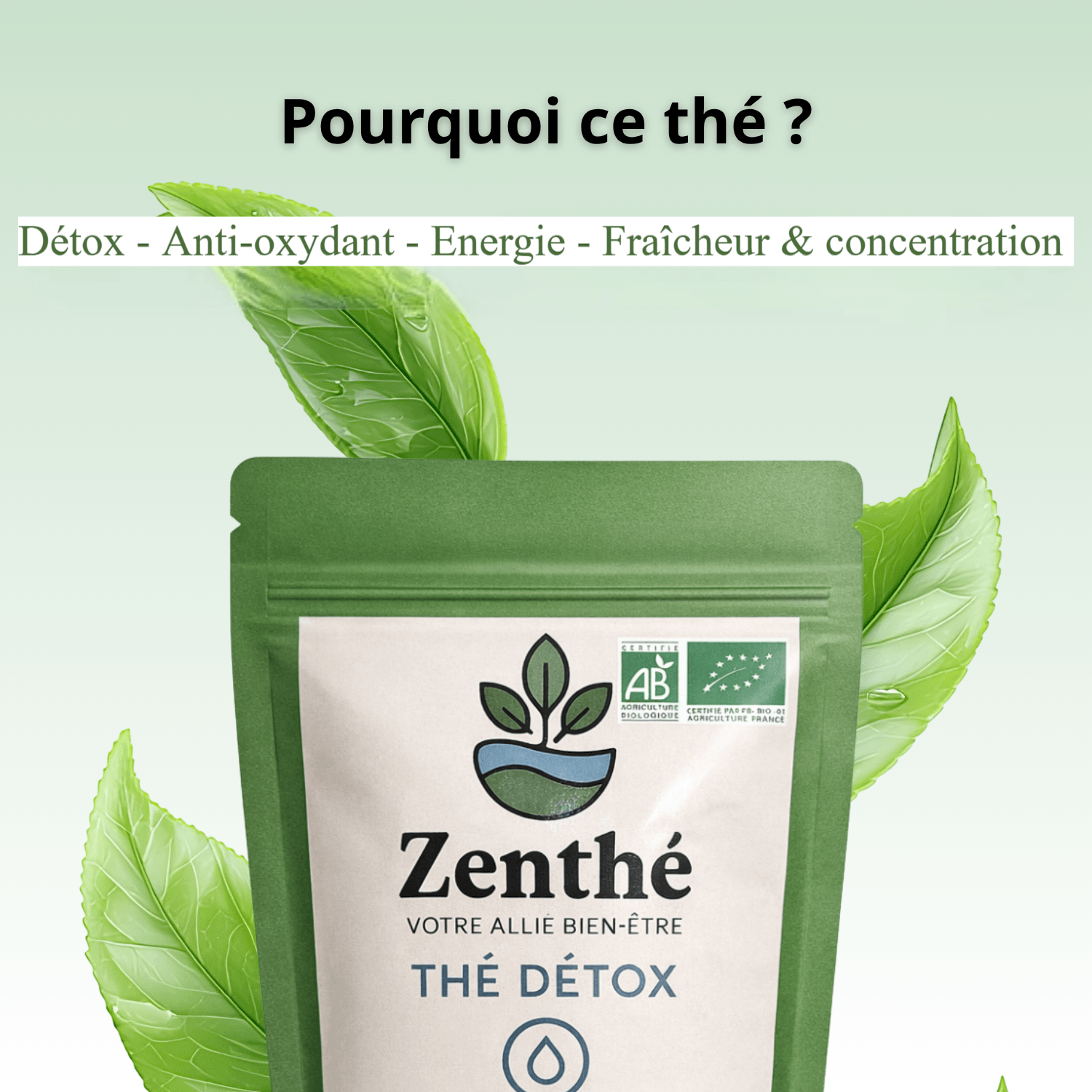 Verdépur glacé tropical - citron vert menthe coco glaçons - infusion détox estivale bio