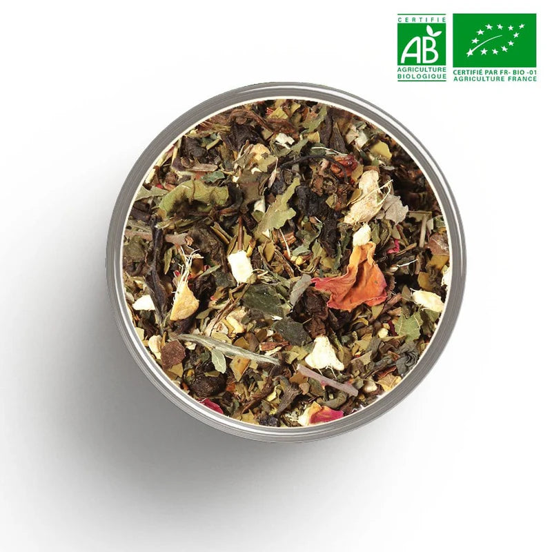 Verdi Brûle-Graisse bio en vrac - thé vert maté gingembre pamplemousse - ZenThé