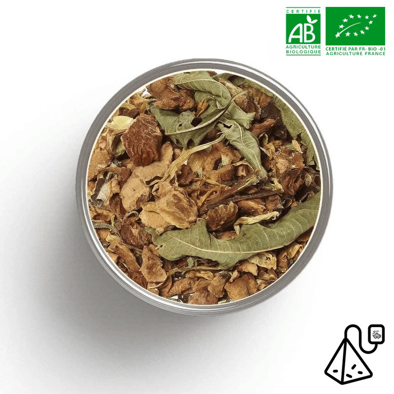Tasse de Tisane Zelda bio couleur bordeaux - fruits rouges digestive et apaisante soir
